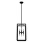 19263_8_felippe_8_light_pendant-natural_black_iron-main