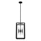 19263_8_felippe_8_light_pendant-natural_black_iron-main