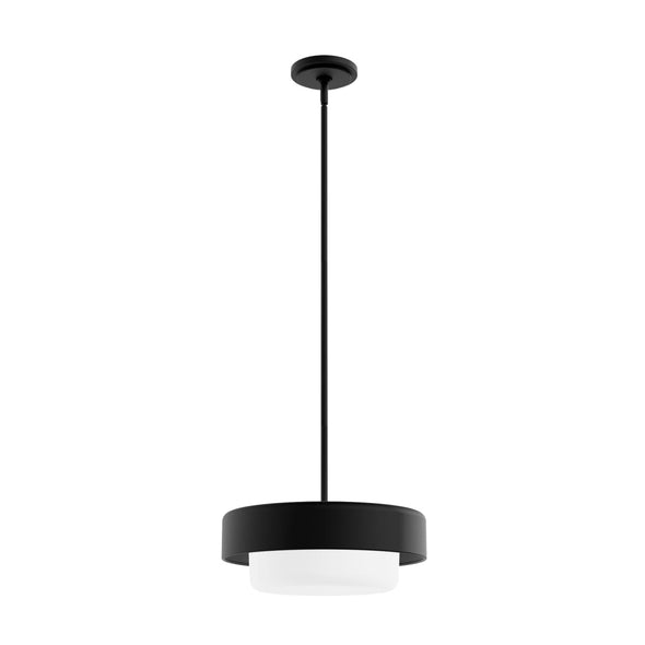 19271_8_station_2_light_pendant-natural_black_iron-main
