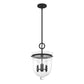 19311_8_3_light_belltown_light_pendant-natural_black_iron-main