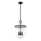 19313_8_4_light_belltown_pendant-natural_black_iron-main