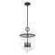 19313_8_4_light_belltown_pendant-natural_black_iron-main