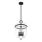 19313_9_4_light_belltown_pendant-natural_black_iron-alternateangle1
