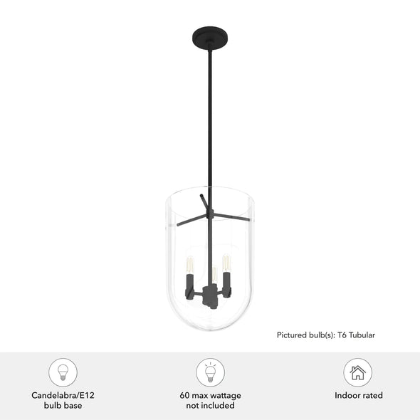 19318_3_sacha_3_light_cloche_pendant-natural_black_iron-featuresgraphic