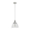 19328_8_cypress_grove_1_light_pendant_10_inch-brushed_nickel-main