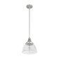 19328_9_cypress_grove_1_light_pendant_10_inch-brushed_nickel-alternateangle1