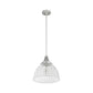 19349_9_cypress_grove_1_light_pendant_13_inch-brushed_nickel-alternateangle1