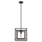 19407_8_doherty_pendant_convertible_1_light_12_inch_-onyx_bengal-main