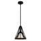 19449_8_rafner_small_pendant-natural_black_iron-main