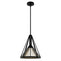 19451_8_rafner_medium_pendant-natural_black_iron-main