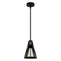 19455_8_rafner_1_light_mini_pendant-natural_black_iron-main