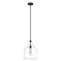 19655_8_dunshire_bell_clear_seeded_glass_1_light_12_inch_medium_pendant-noble_bronze-main