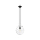 19660_9_sacha_1_light_pendant-natural_black_iron-alternateangle1