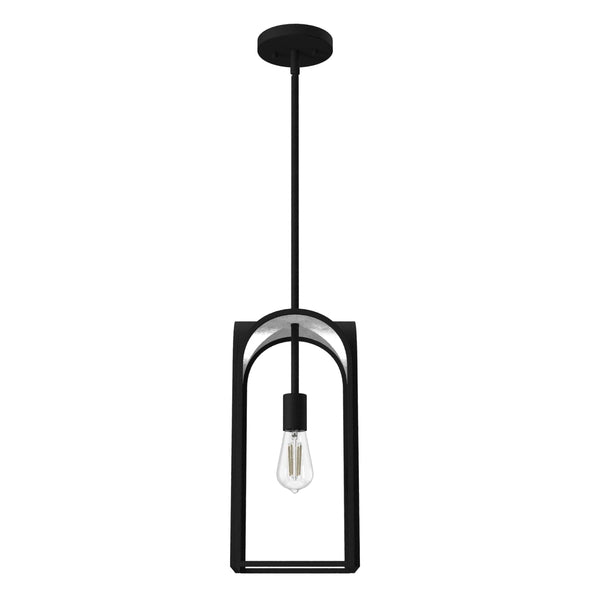 19738_8_dukestown_1_light_mini_pendant-natural_black_iron-main