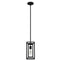 19755_8_doherty_1_light_mini_pendant-natural_black_iron-main