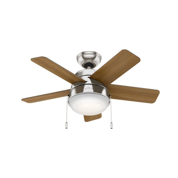 36 inch Tarrant with LED Light Ceiling Fans Hunter Brushed Nickel - American Walnut 
