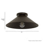 46025_4_skyflow_outdoor_1_light_14_inch_medium_flush_mount-matte_bronze-dimensiongraphic