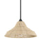 48081_8_agoura_1_light_medium_14_inch_pendant-matte_black-main