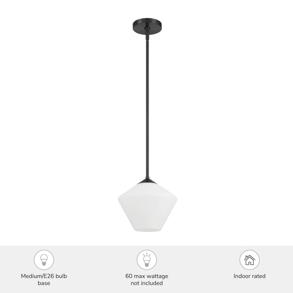 48100_3_celestial_valley_1_light_small_10_inch_pendant-matte_black-featuresgraphic