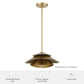 48156_3_hiro_1_light_large_14_inch_pendant-alturas_gold-featuresgraphic
