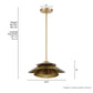 48156_4_hiro_1_light_large_14_inch_pendant-alturas_gold-dimensiongraphic