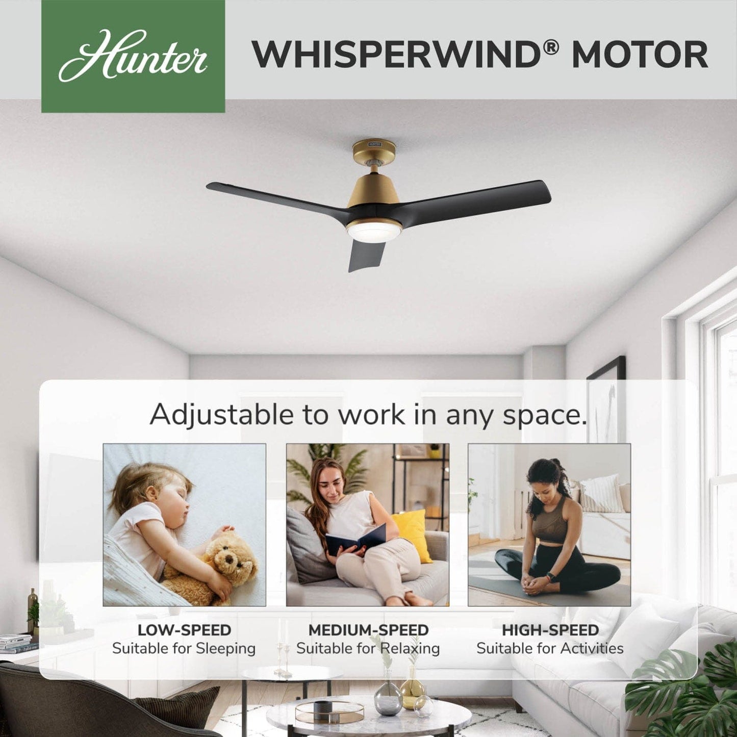 50044_31_aeronaut_outdoor_smart_fan_with_led_light_52_inch_with_remote-luxe_gold-whisperwindmotorgraphic