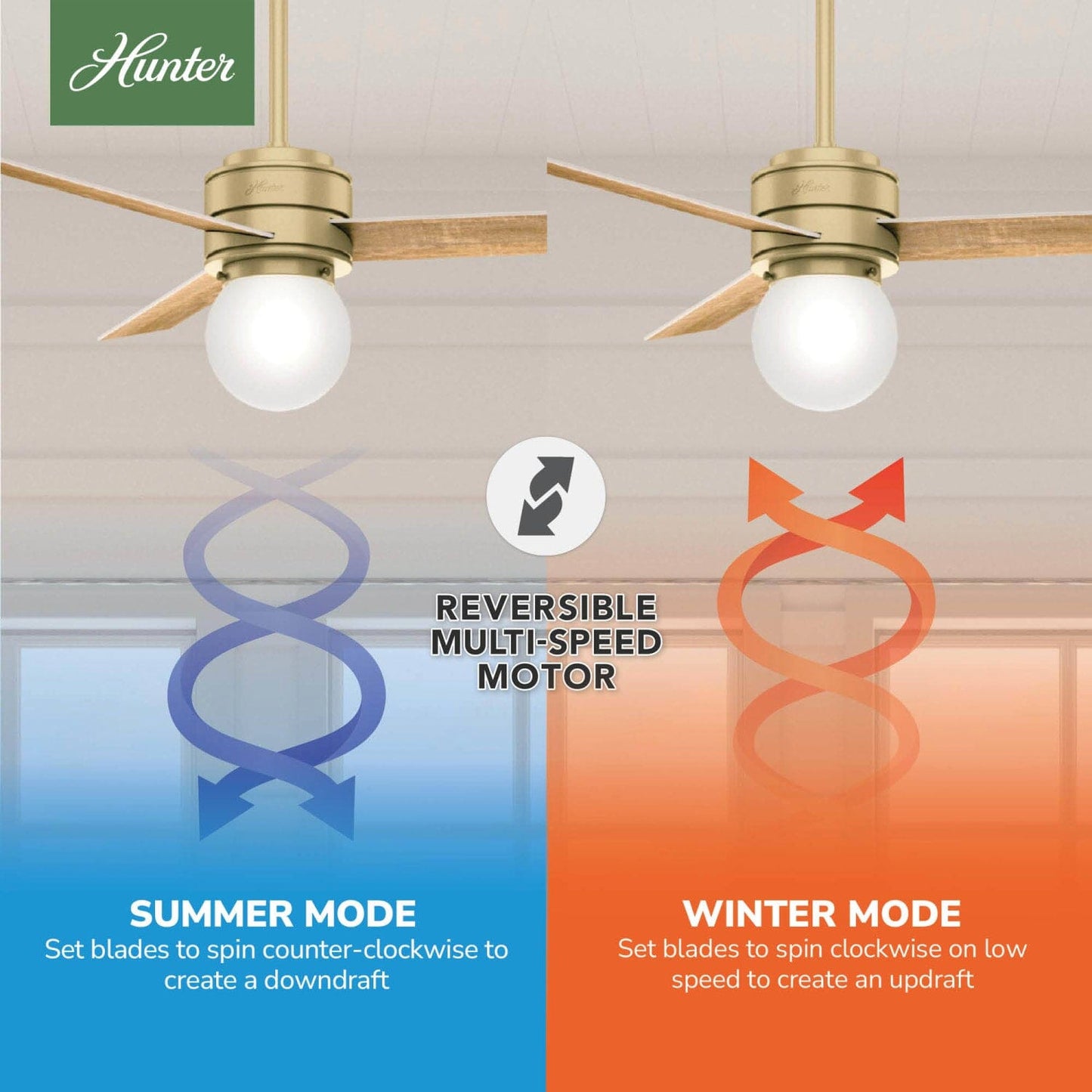 50047_10_allison_with_led_light_52_inch-modern_brass-reversible_motor_graphic_-_english