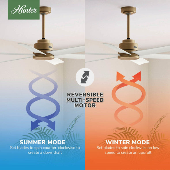 50063_10_kennicott_outdoor_52_inch-luxe_gold-reversible_motor_graphic_-_english