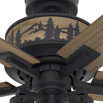 50169_16_mt._vista_with_led_light_52_inch-natural_black_iron-productdetail3