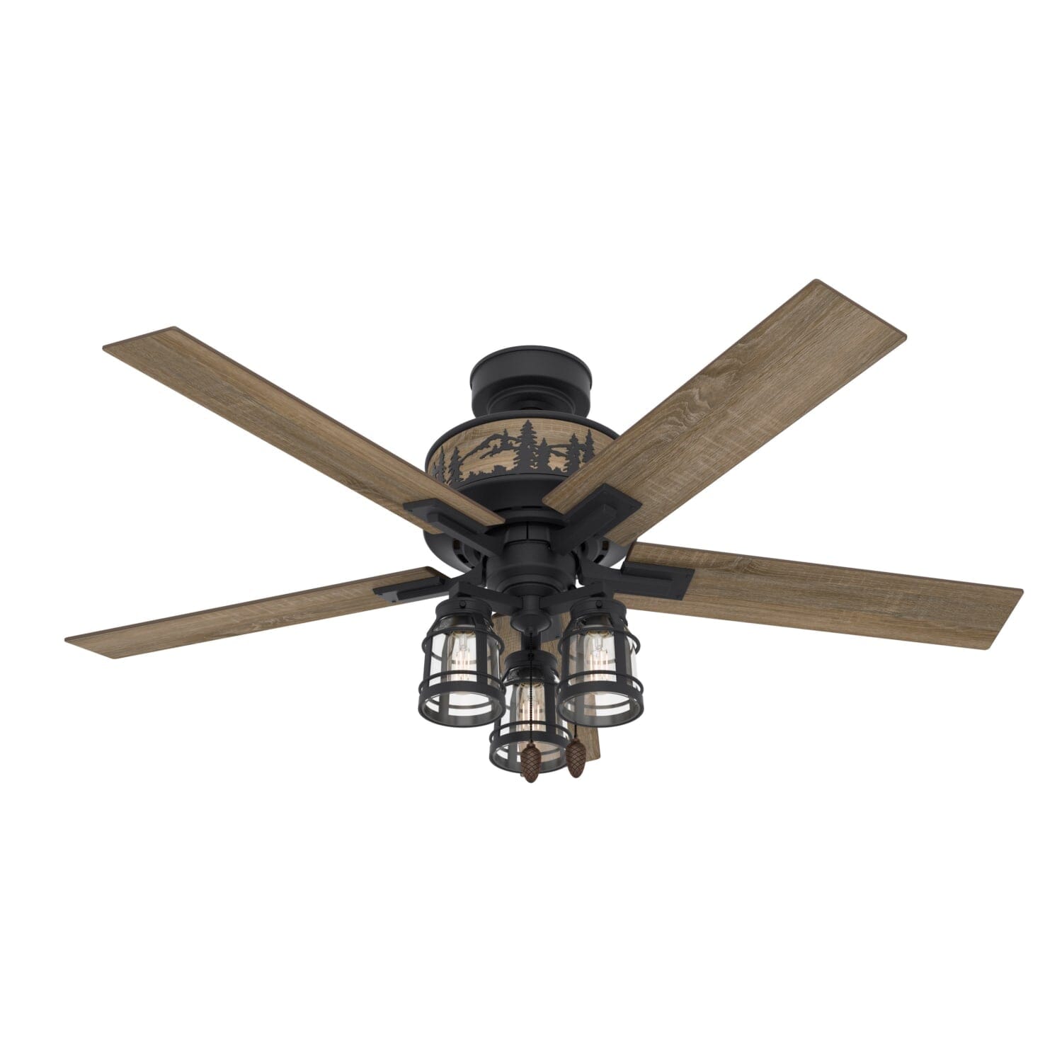 天保丁銀、163.5グラム Hunter Mt. Vista with LED Light 52 inch – Hunter Fan