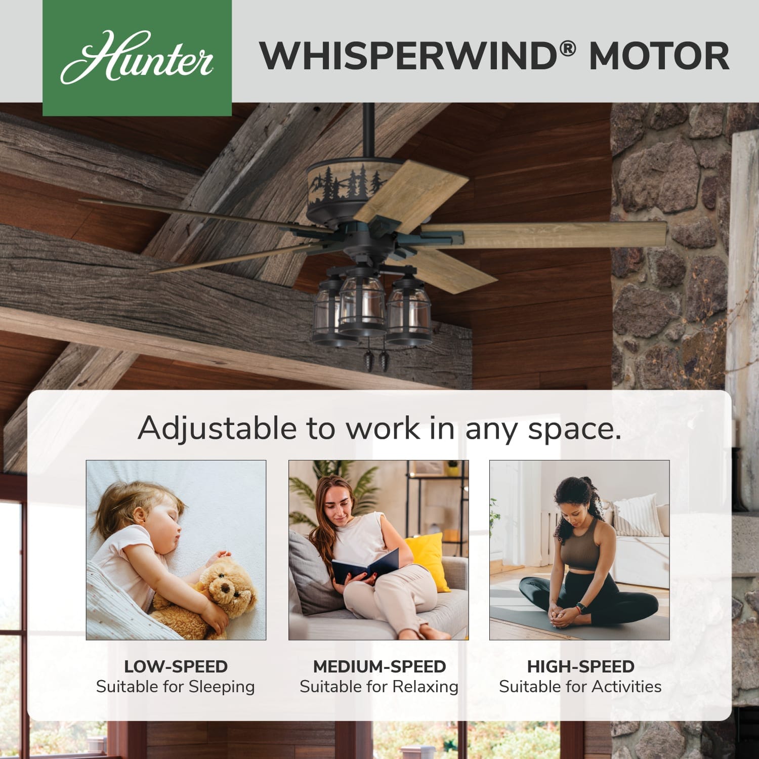 50169_31_mt._vista_with_led_light_52_inch-natural_black_iron-whisperwindmotorgraphic