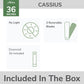 50320_13_cassius_outdoor_36_inch-matte_black-whatsincludedgraphic