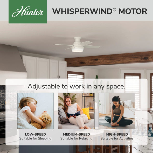 50399_31_dempsey_low_profile_outdoor_with_led_light_44_inch-fresh_white-whisperwindmotorgraphic