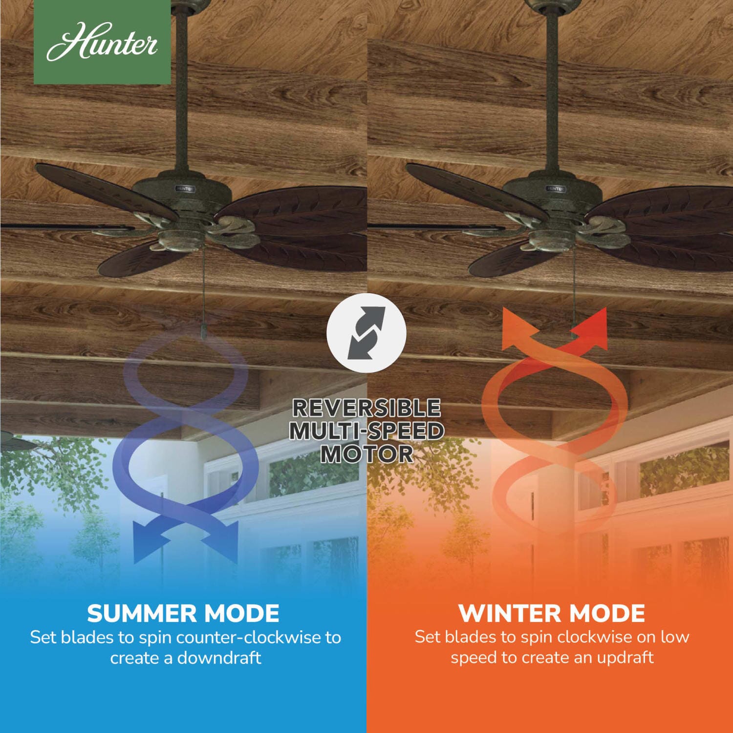 Hunter Bayview Outdoor 54 inch – Hunter Fan