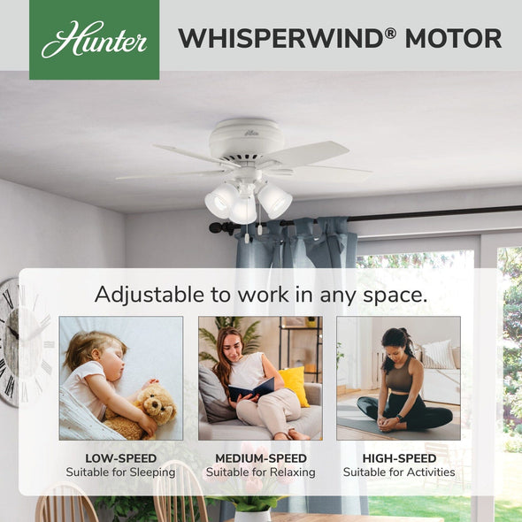 51077_31_newsome_low_profile_with_3_lights_42_inch-fresh_white-whisperwindmotorgraphic