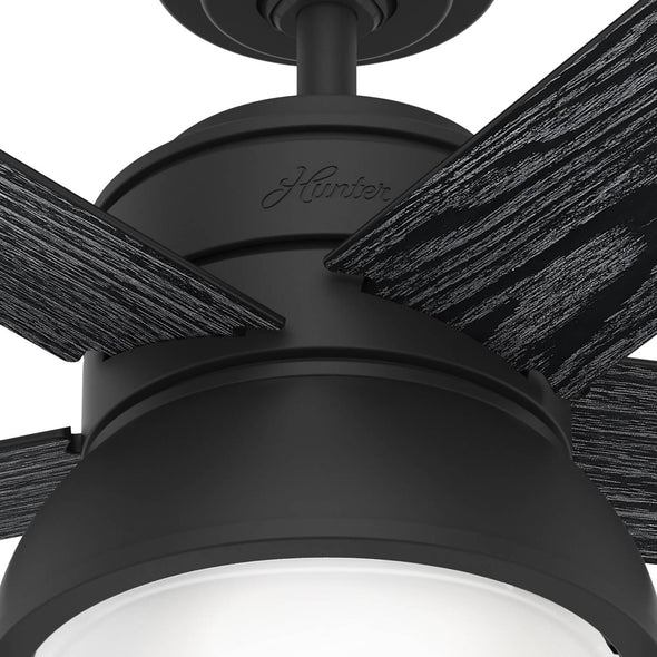 51139_16 44 inch lilliput with led light matte black productdetail3