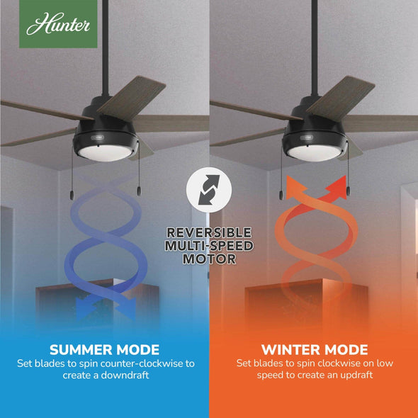 51385_10_burroughs_with_led_light_44_inch-matte_black-reversible_motor_graphic_-_english