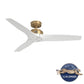 51421_22_woodfield_outdoor_with_wall_control_52_inch-luxe_gold-badgedmainimage