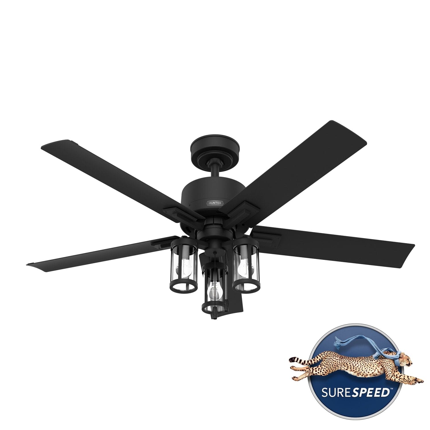 Hunter Lawndale Outdoor with LED Light 52 inch – Hunter Fan