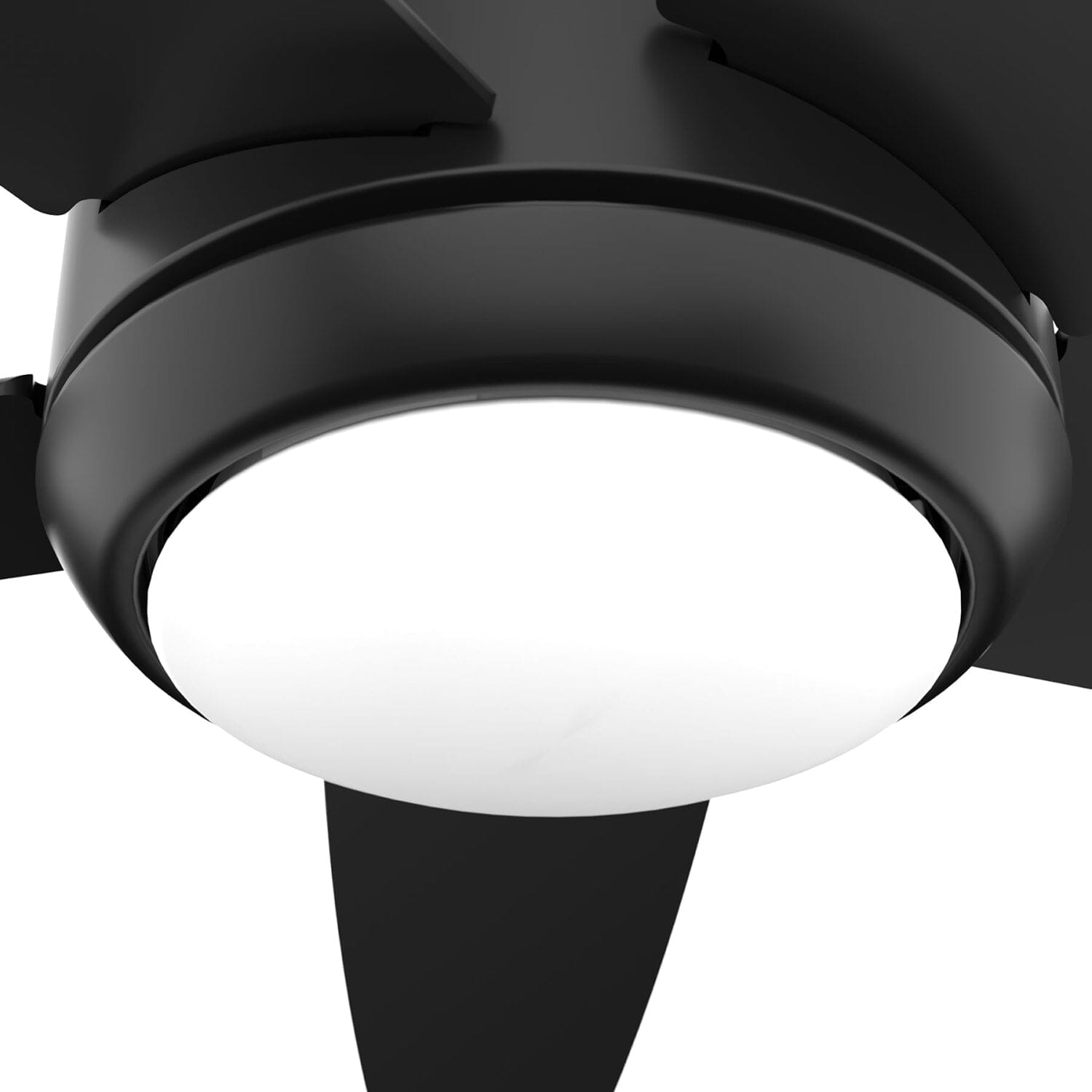 Hunter Zayden with LED Light - 52 inch and Remote – Hunter Fan