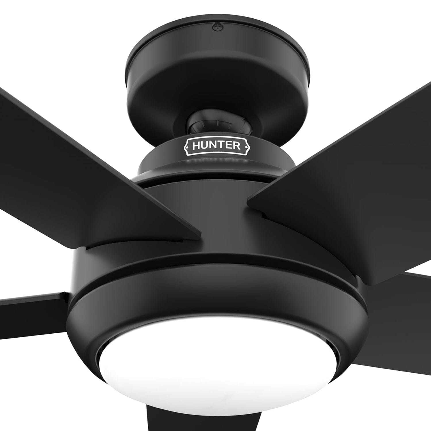 Hunter Zayden with LED Light - 52 inch and Remote – Hunter Fan