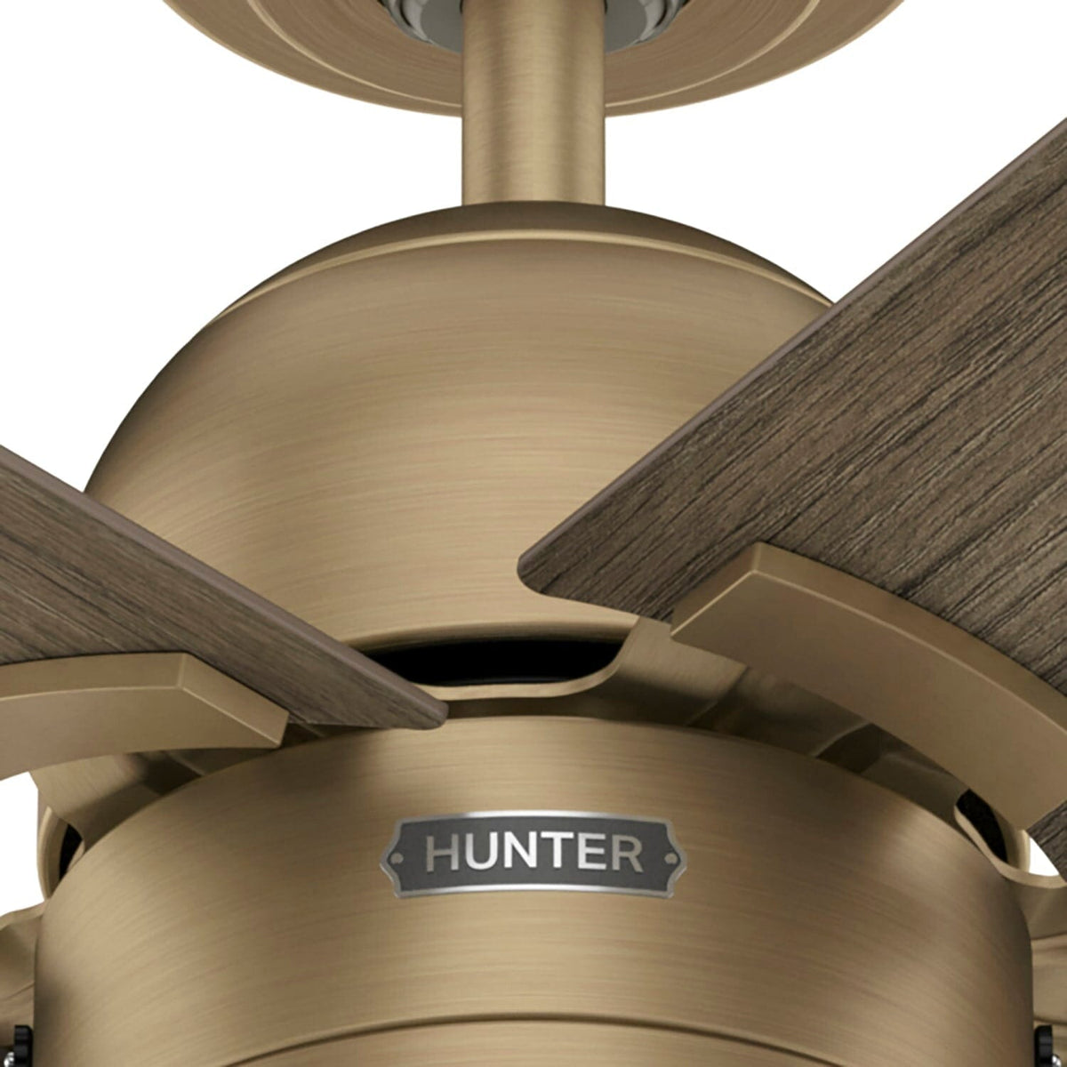 51706_16 erling with led light 44 inch luxe gold productdetail3