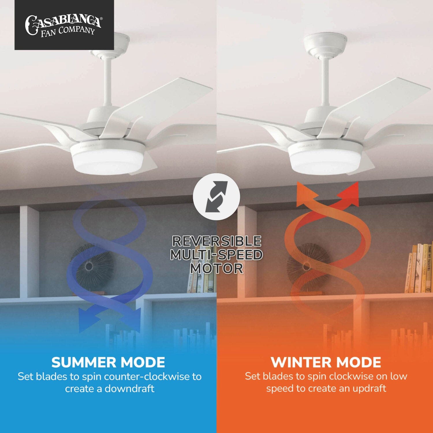 51741_10_correne_with_led_light_56_inch-fresh_white-reversible_motor_graphic_-_english