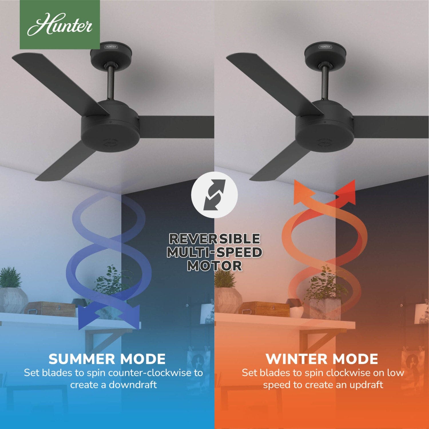 Hunter Presto 44 inch and Wall Control – Hunter Fan