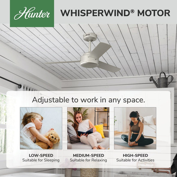 51849_31_presto_44_inch-matte_nickel-whisperwindmotorgraphic