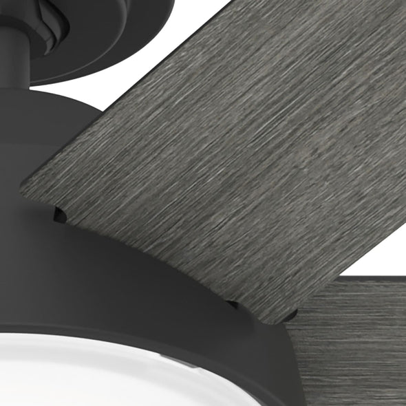 51853_15_donatella_with_led_light_52inch-matte_black-productdetail2