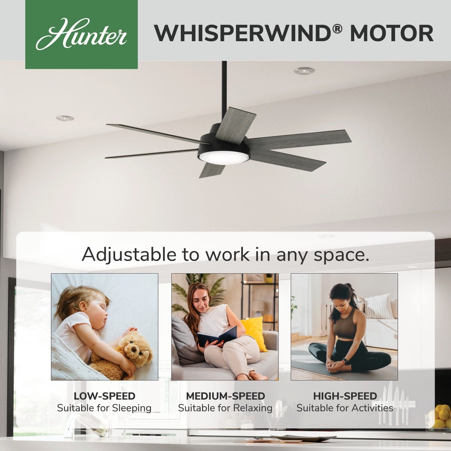 Hunter Donatella with LED Light 52inch and Remote – Hunter Fan