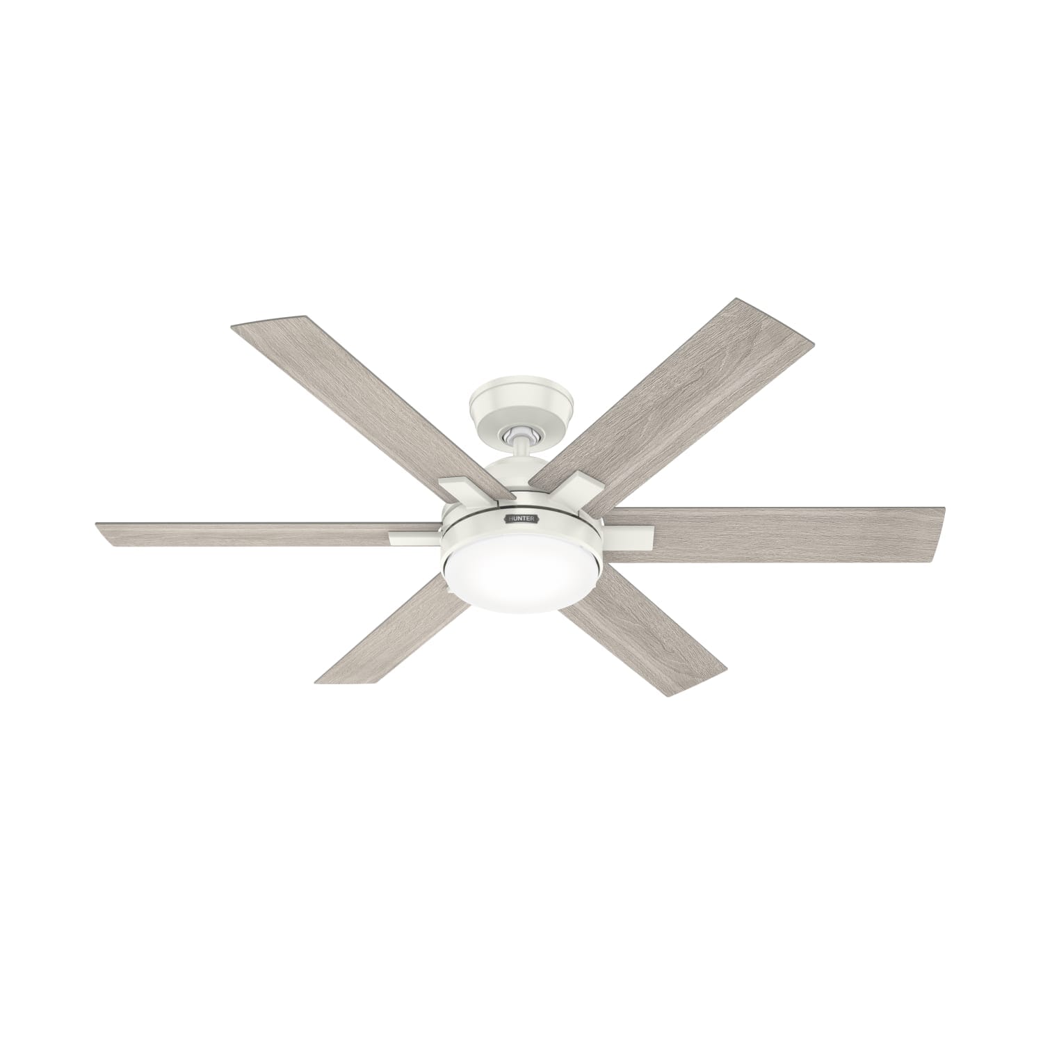 Hunter Georgetown Ceiling Fan - Thumbnail 4