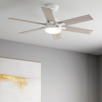 Ceiling Fan Sale height=