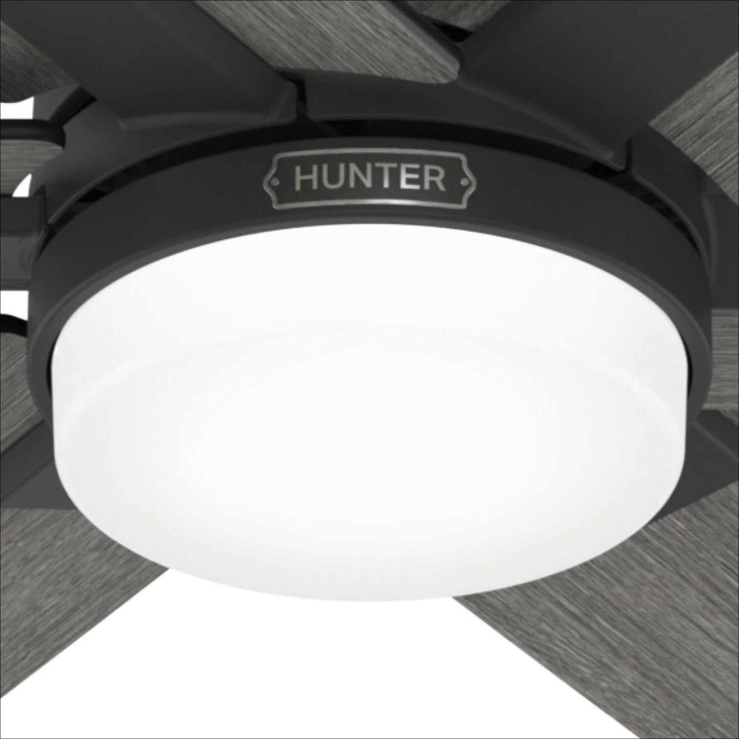 51999_14_aeropress_hunter_express_with_led_light_52_inch-matte_black-productdetail1